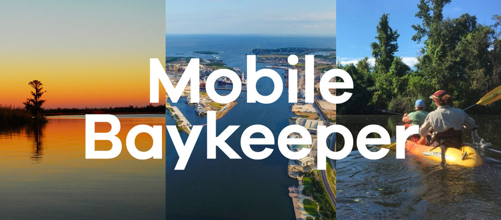 Three photos of nature for the Mobile Baykeeper organization